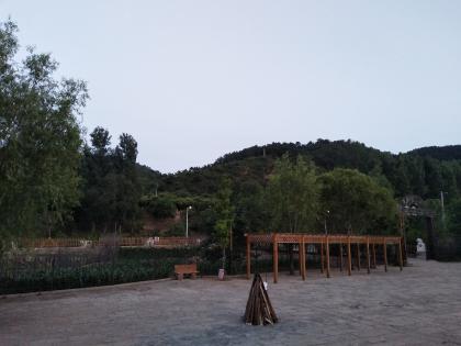 篝火预告.jpg