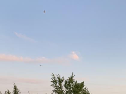 IMG_0152.JPG